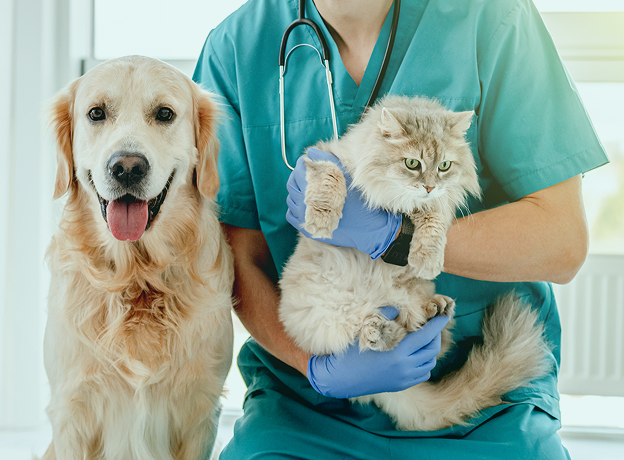 Veterinária com animais em volta